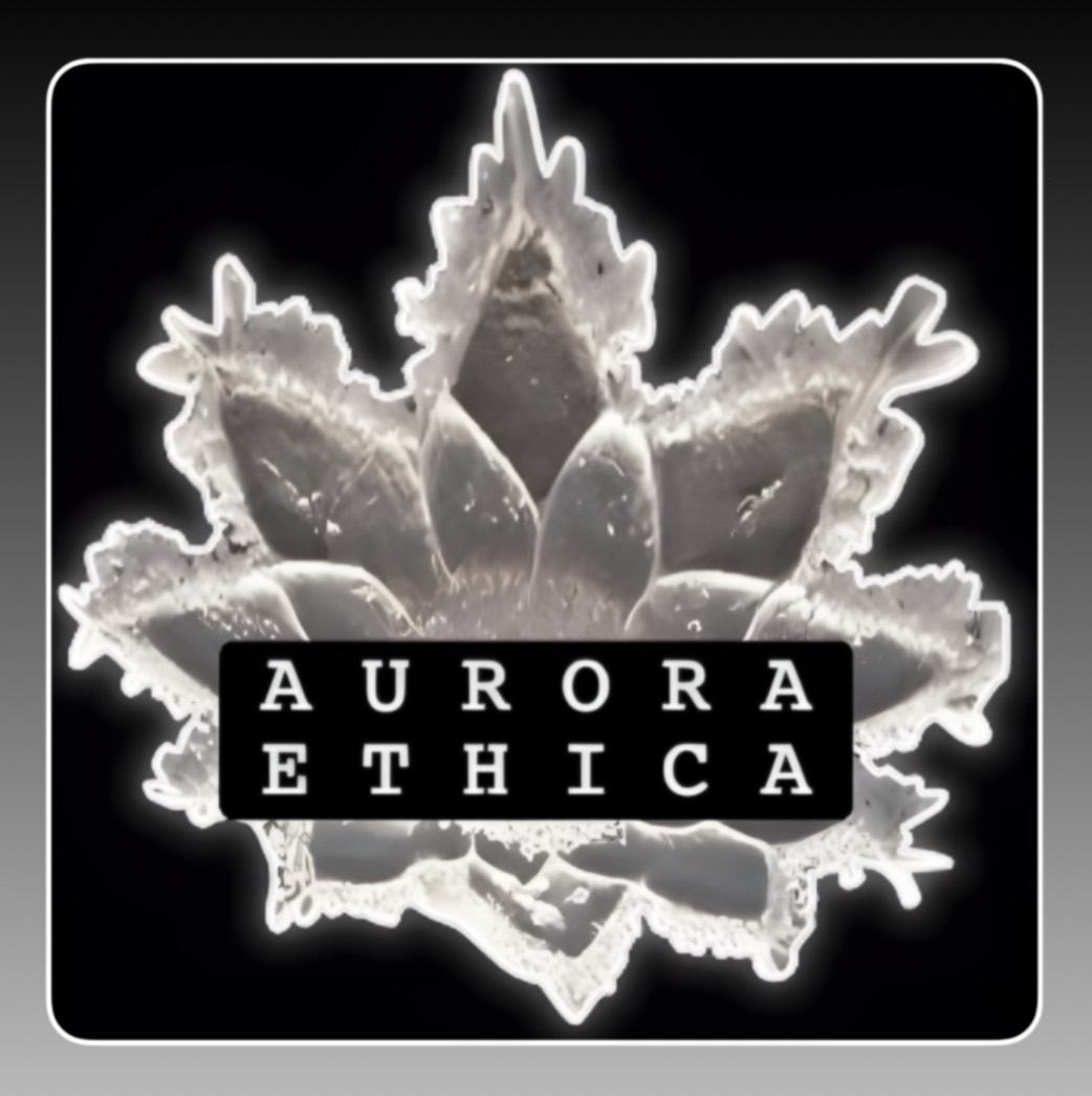 Aurora Ethica logo