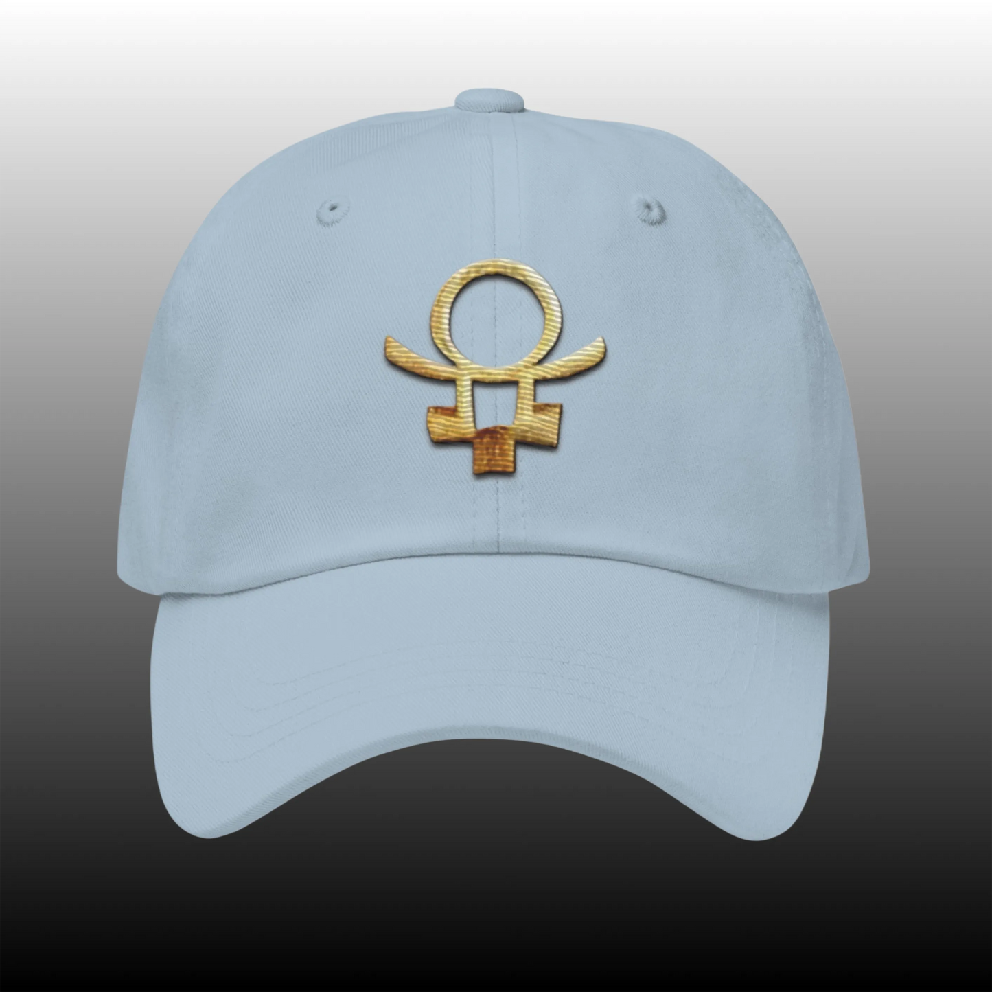 Embrace Humanity™ | Ethic Seal | #SnitchTheStitch | Cap