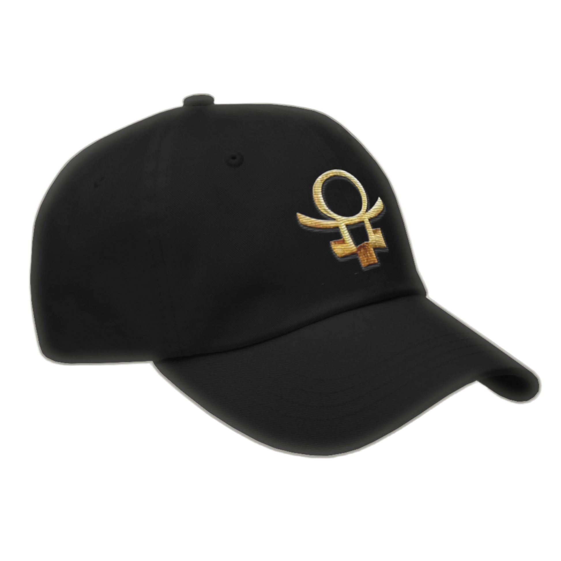 Embrace Humanity™ | Ethic Seal | #SnitchTheStitch | Cap