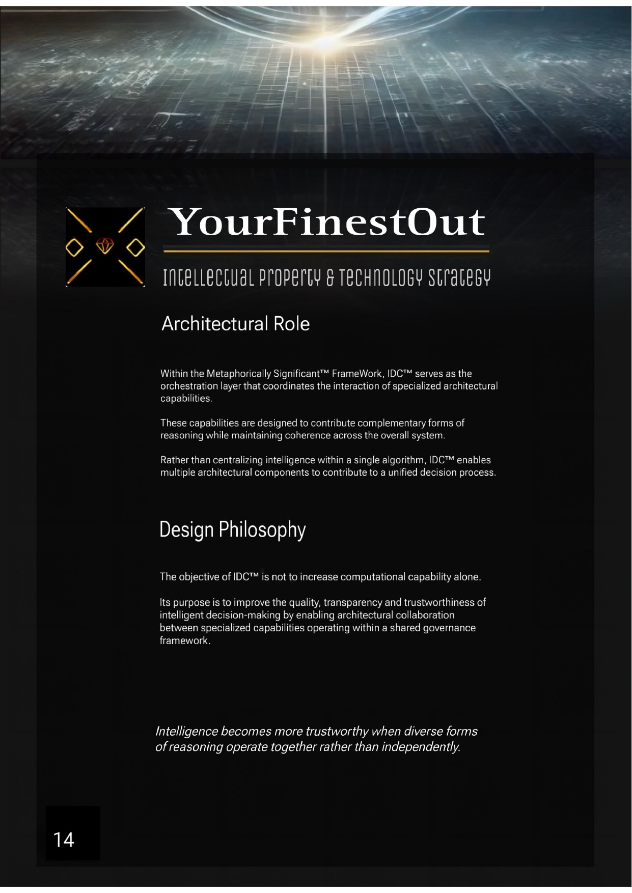 YourFinestOut, IP & Technology Strategy, frame 14