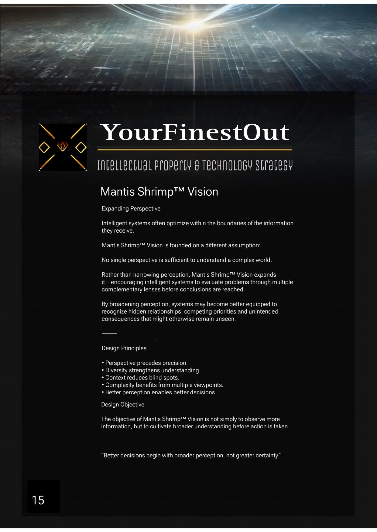 YourFinestOut, IP & Technology Strategy, frame 15