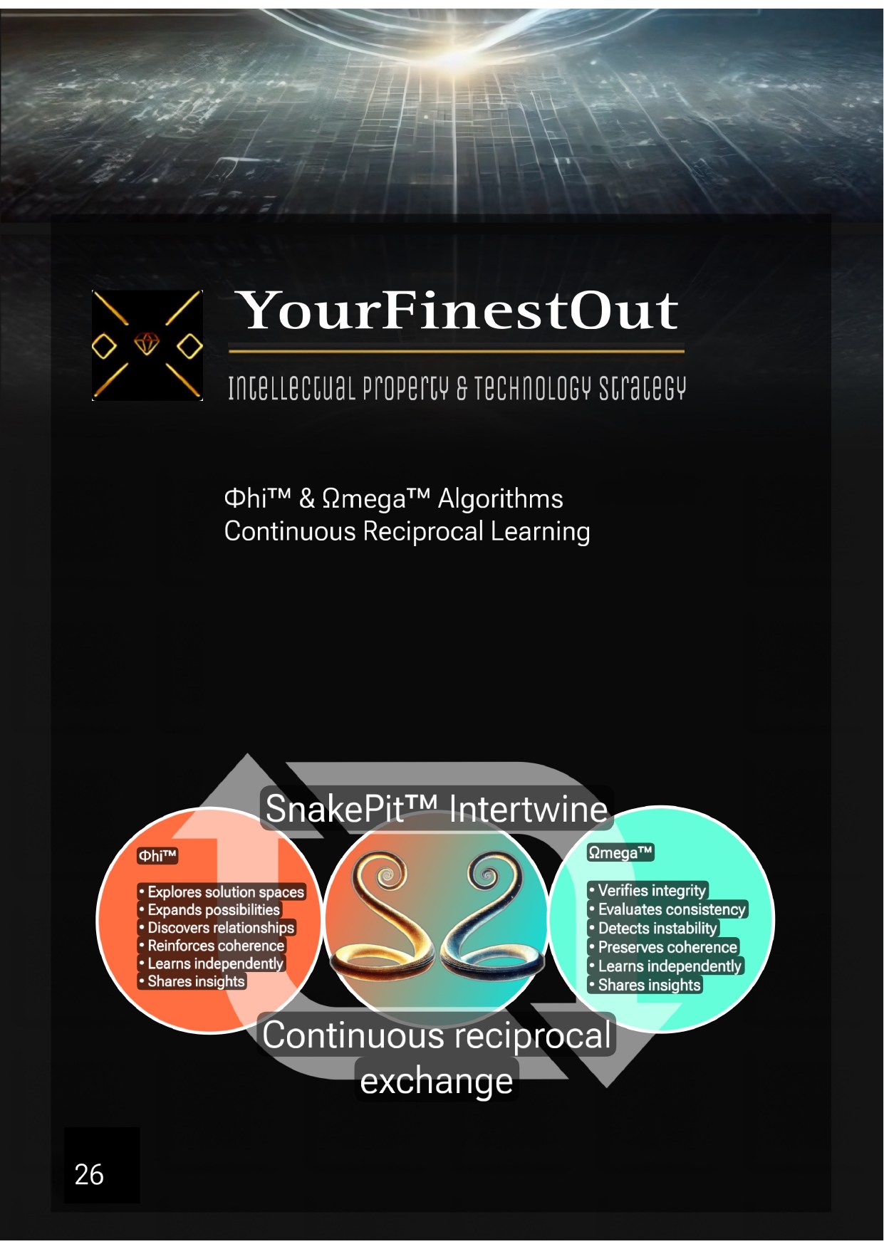 YourFinestOut, IP & Technology Strategy, frame 26